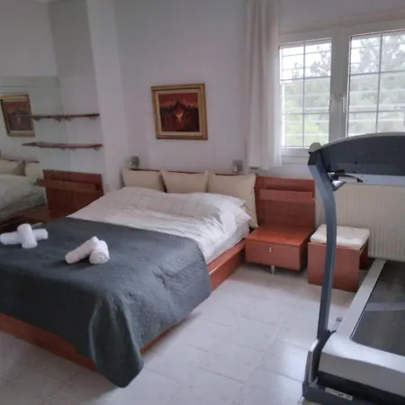 빌라 In Panorama, Thessaloniki, With A Swimming Pool. Host: Mr. George