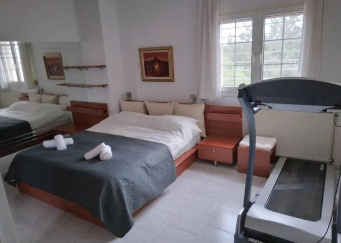 Villa In Panorama, Thessaloniki, With A Swimming Pool. Host: Mr. George